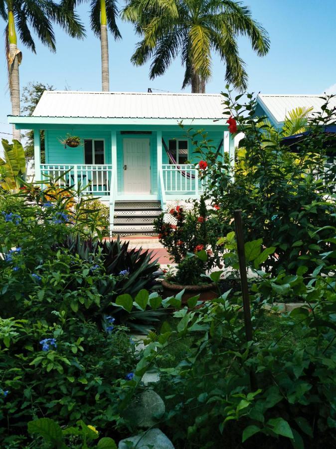 Harbour View Boutique Hotel & Yoga Retreat Kota Belize Bagian luar foto